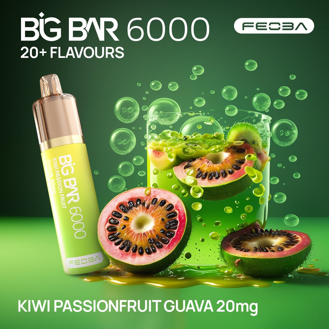 Feoba Big Bar 6000 Puffs (Box of 5)