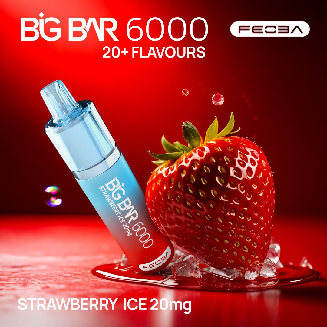 Feoba Big Bar 6000 Puffs (Box of 5)