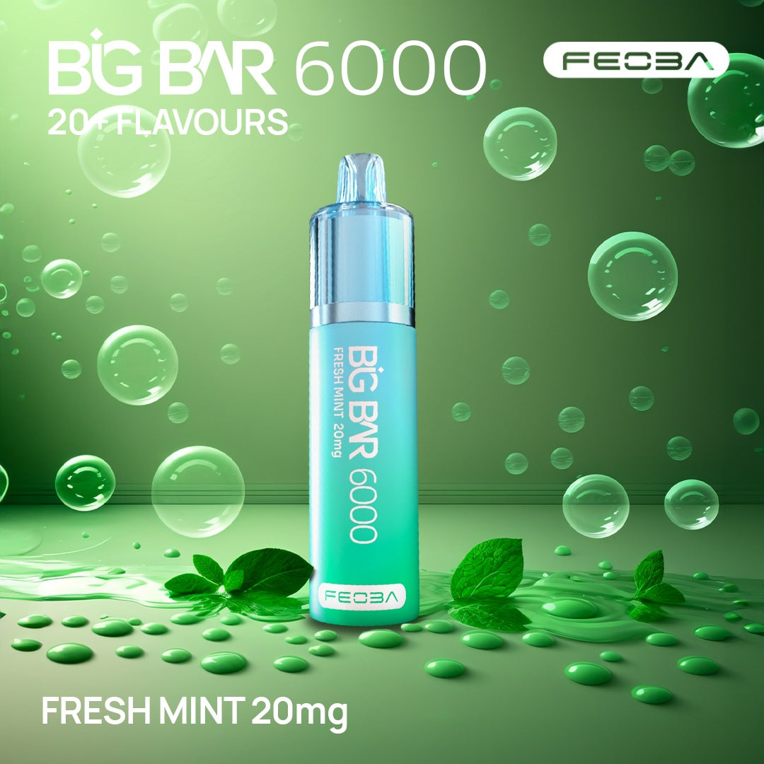 Feoba Big Bar 6000 Puffs (Box of 5)