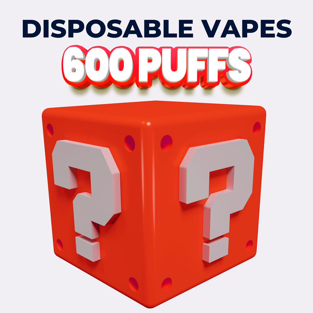 Disposable Vape Mystery Box - 600 Puffs - Box of 5