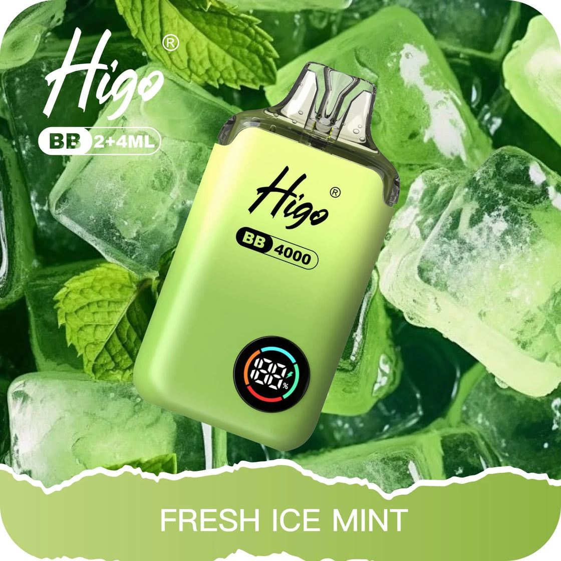 Higo BB4000 Kit (Box of 10) - Fresh Ice Mint