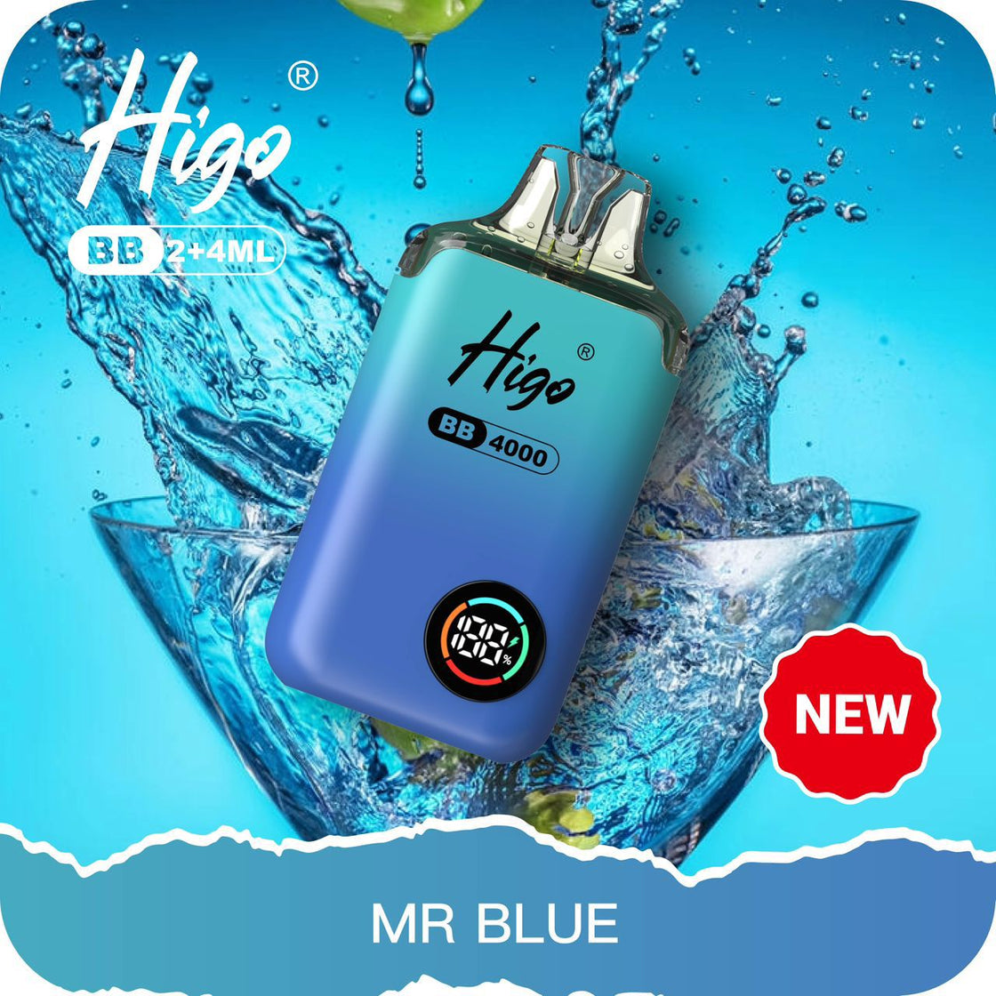 Higo BB4000 Prefilled Pod Vape Kit | 10-Pack