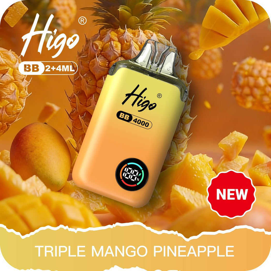 Higo BB4000 Prefilled Pod Vape Kit | 10-Pack