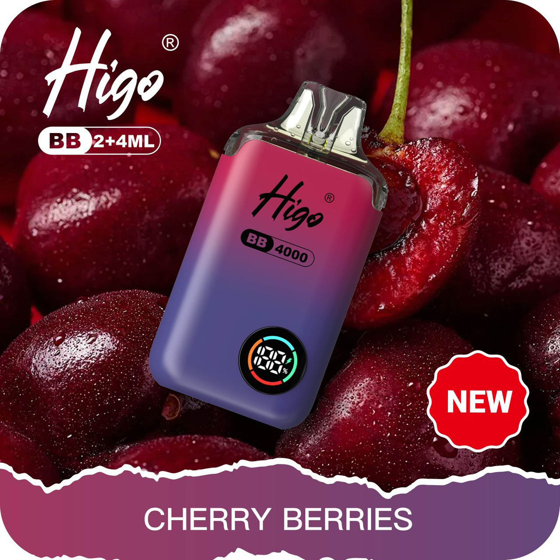 Higo BB4000 Prefilled Pod Vape Kit | 10-Pack