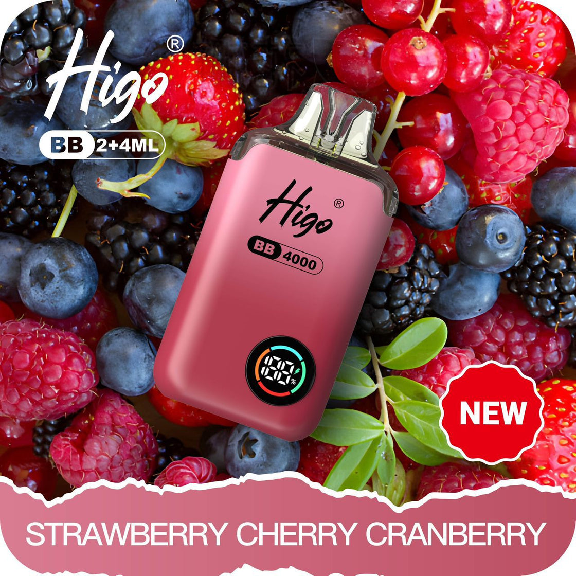 Higo BB4000 Prefilled Pod Vape Kit | 10-Pack