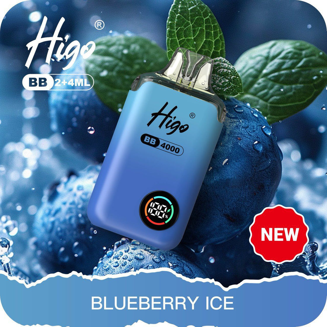 Higo BB4000 Prefilled Pod Vape Kit | 10-Pack