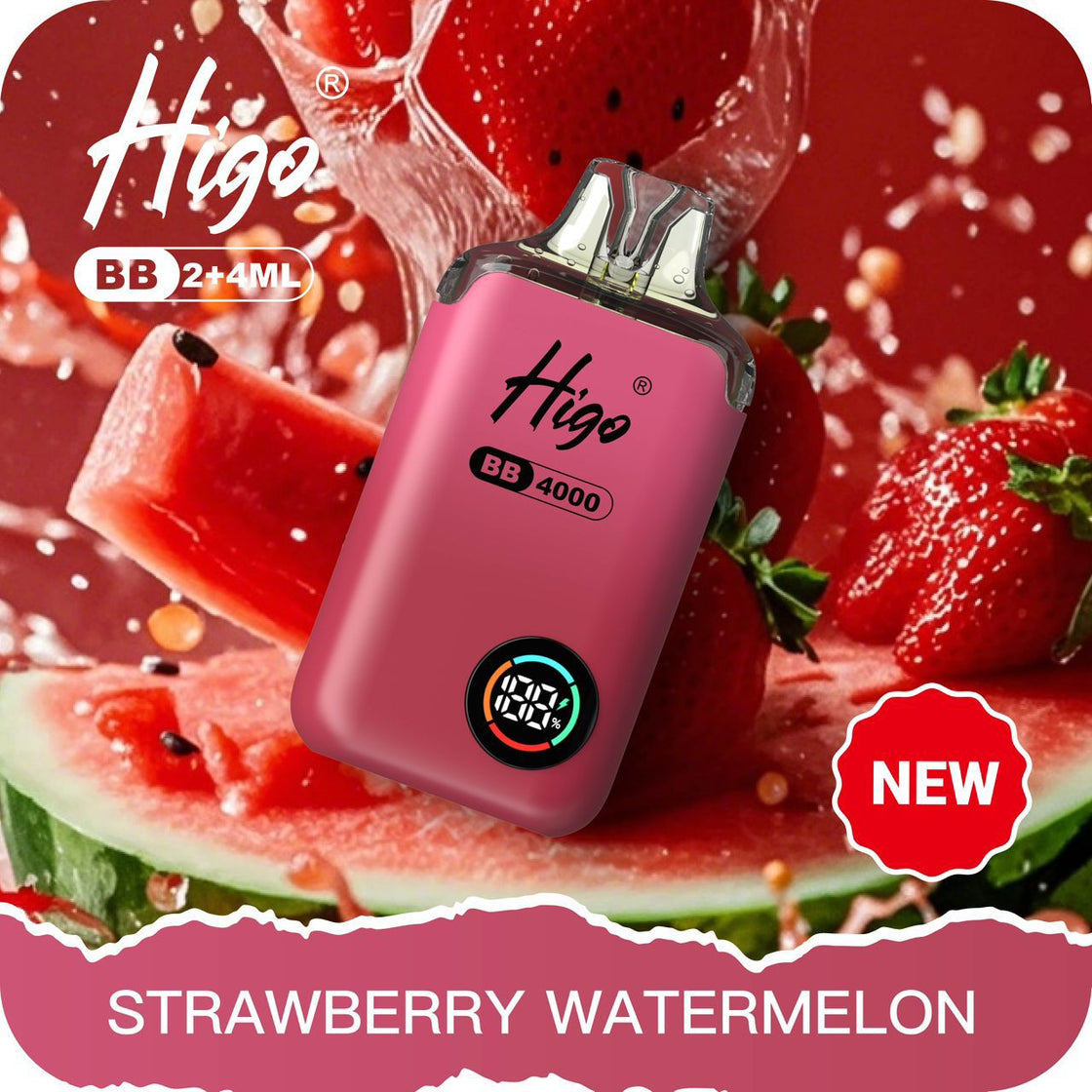 Higo BB4000 Prefilled Pod Vape Kit | 10-Pack