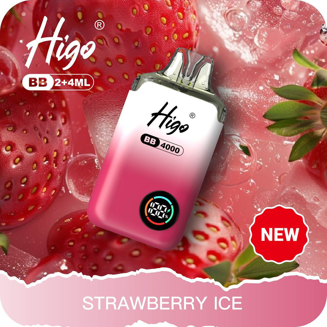 Higo BB4000 Prefilled Pod Vape Kit | 10-Pack