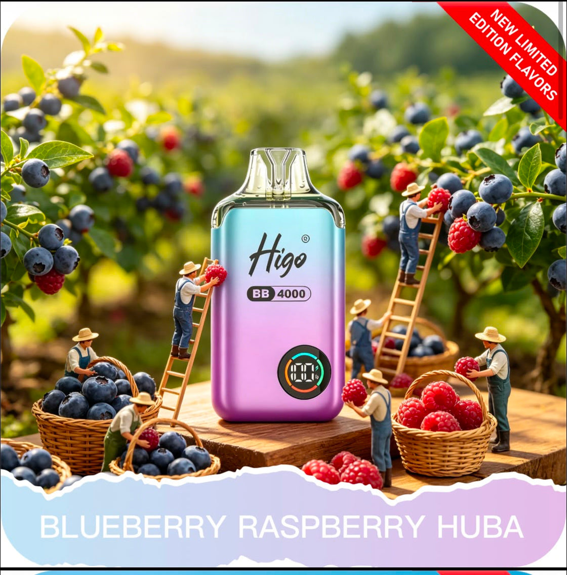 Higo BB4000 Prefilled Pod Vape Kit | 10-Pack