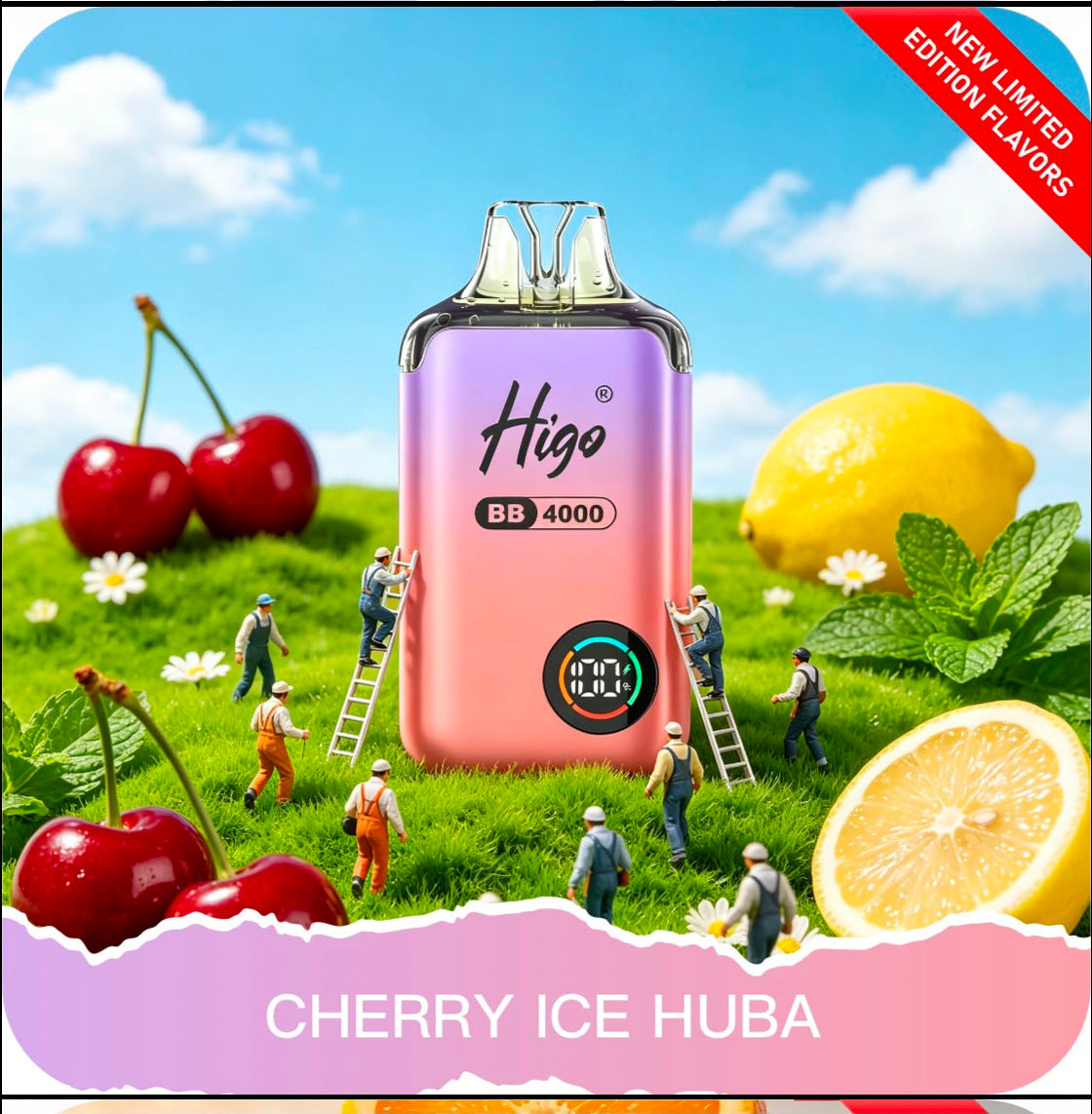 Higo BB4000 Prefilled Pod Vape Kit | 10-Pack