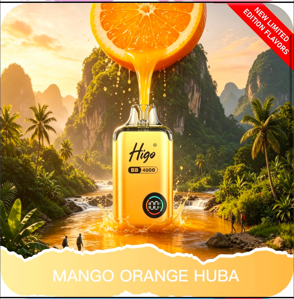 Higo BB4000 Prefilled Pod Vape Kit | 10-Pack