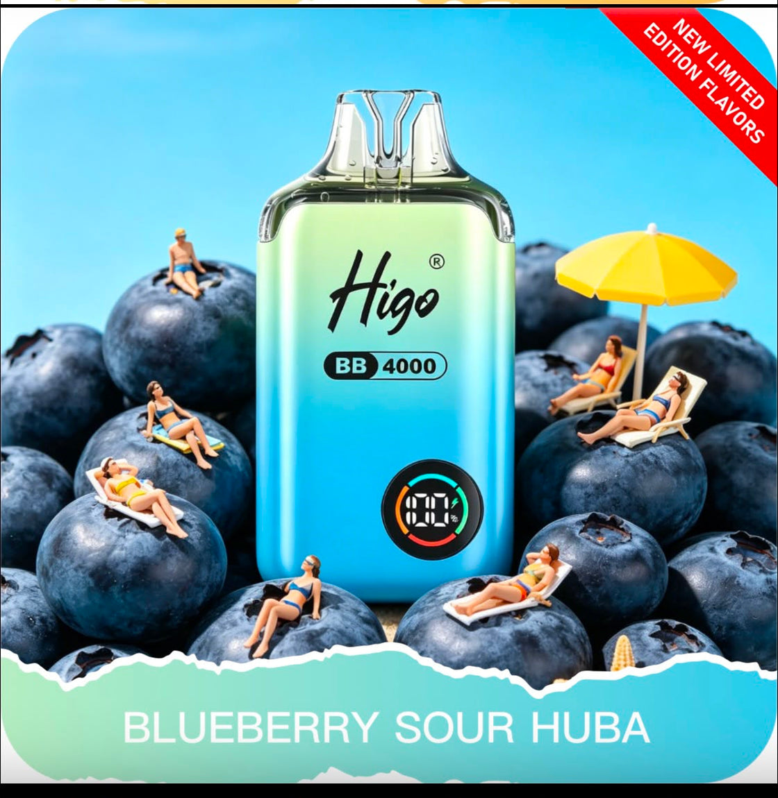 Higo BB4000 Prefilled Pod Vape Kit | 10-Pack