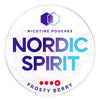 Nordic Spirit Nicotine Pouches - 5 Pack