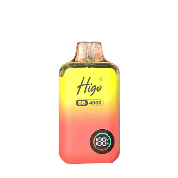 Higo BB4000 Prefilled Pod Vape Kit | 10-Pack