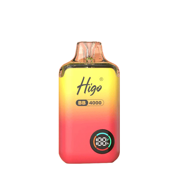 Higo BB4000 Prefilled Pod Vape Kit | 10-Pack