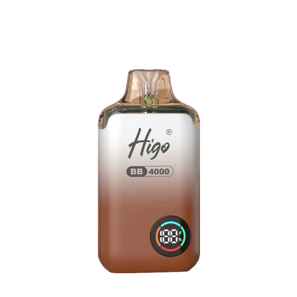 Higo BB4000 Prefilled Pod Vape Kit | 10-Pack