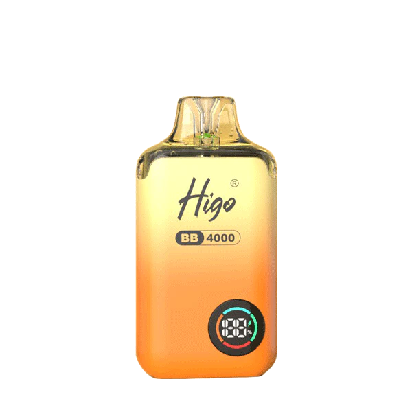 Higo BB4000 Prefilled Pod Vape Kit | 10-Pack
