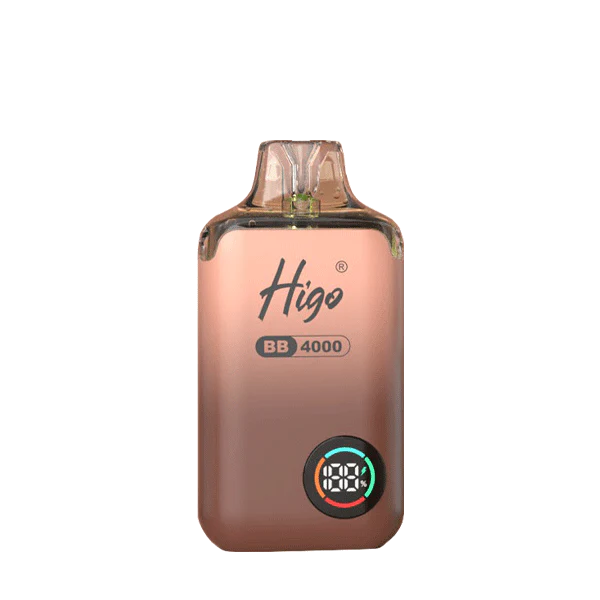 Higo BB4000 Prefilled Pod Vape Kit | 10-Pack